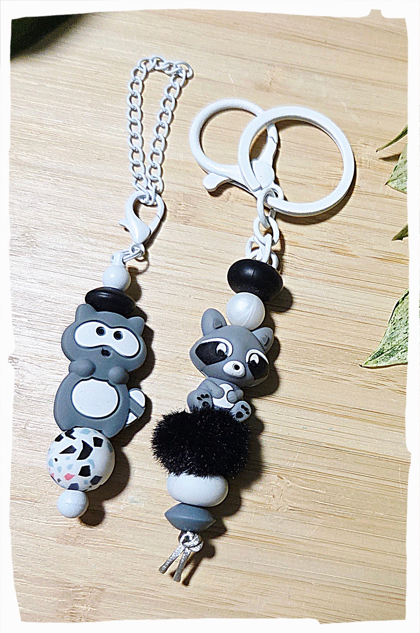 Collection Raton laveur