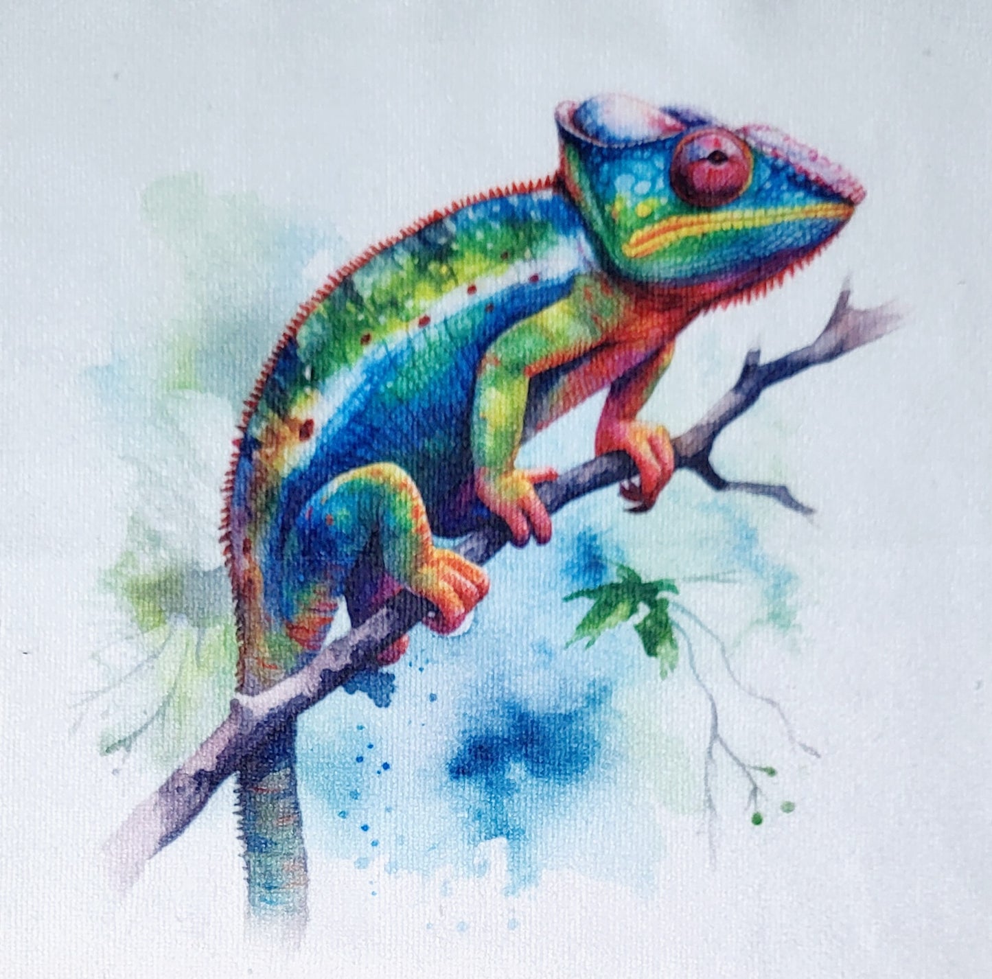 CLEARANCE Chameleon Washcloth